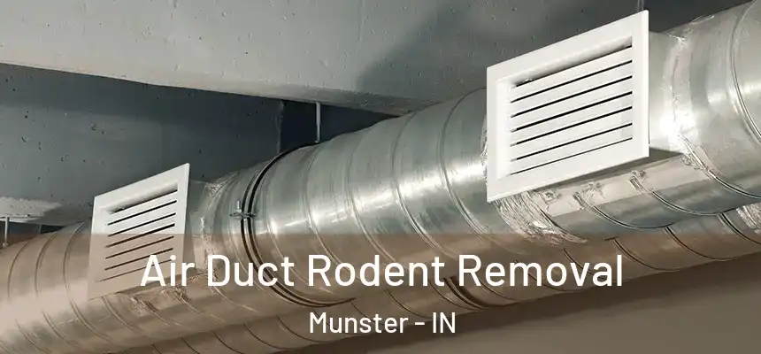  Air Duct Rodent Removal Munster - IN