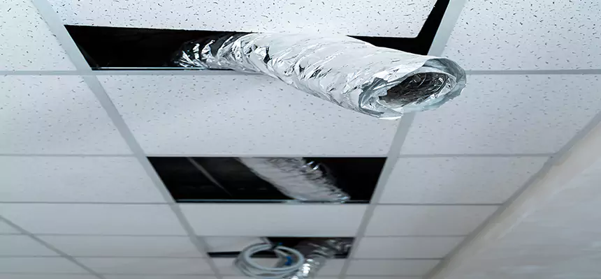 Affordable HVAC Sanitizing After Pest Removal in Munster