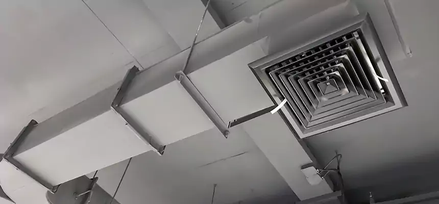 Restorative Allergy Relief Vent Cleaning – Coil, Blower & Housing Detail in Munster