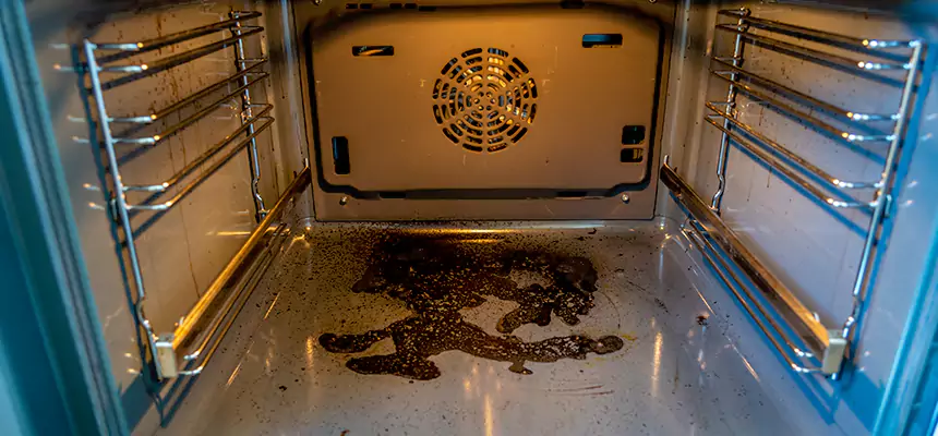 Our Dryer Vent Mold Cleaning Services in Munster, IN