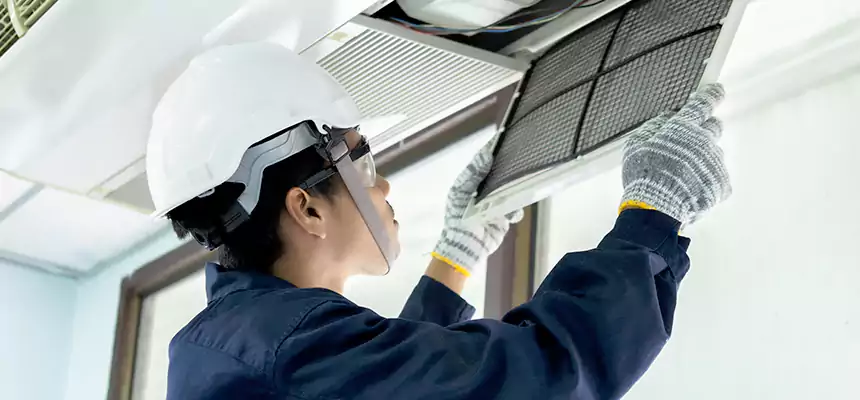 Our Mold & Mildew Removal from Air Ducts Services in Munster, IN