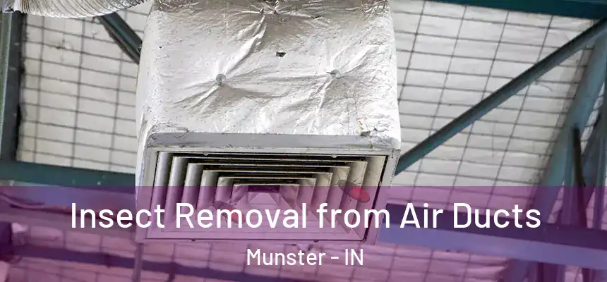  Insect Removal from Air Ducts Munster - IN