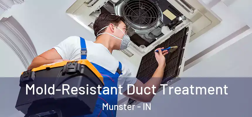  Mold-Resistant Duct Treatment Munster - IN