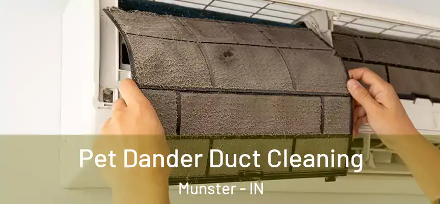  Pet Dander Duct Cleaning Munster - IN