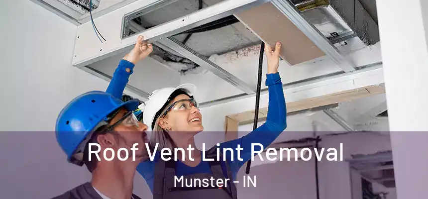  Roof Vent Lint Removal Munster - IN