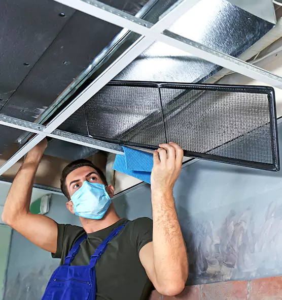 About Air Duct Bacteria Removal in Munster