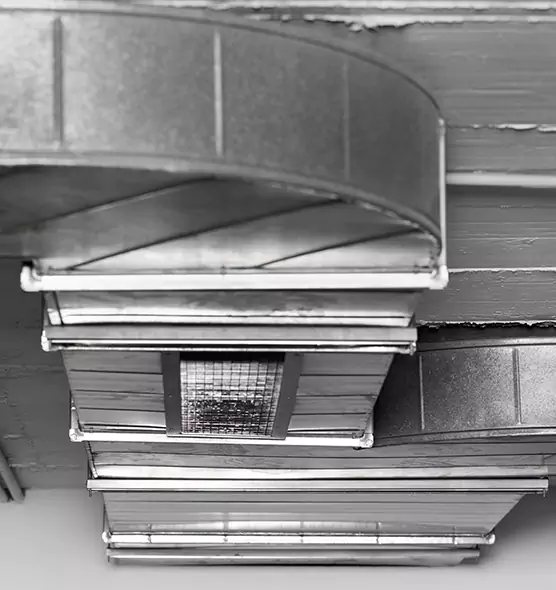 Professional Air Duct Pest Removal in Munster, IN