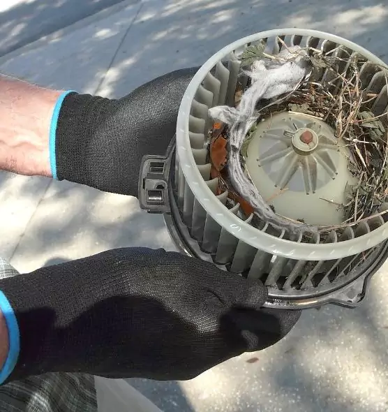 About Air Duct Rat Removal in Munster, IN