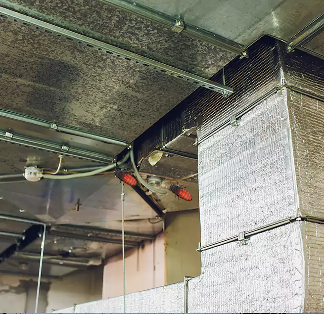 Why Homeowners & Businesses Trust Us in Munster, IN?