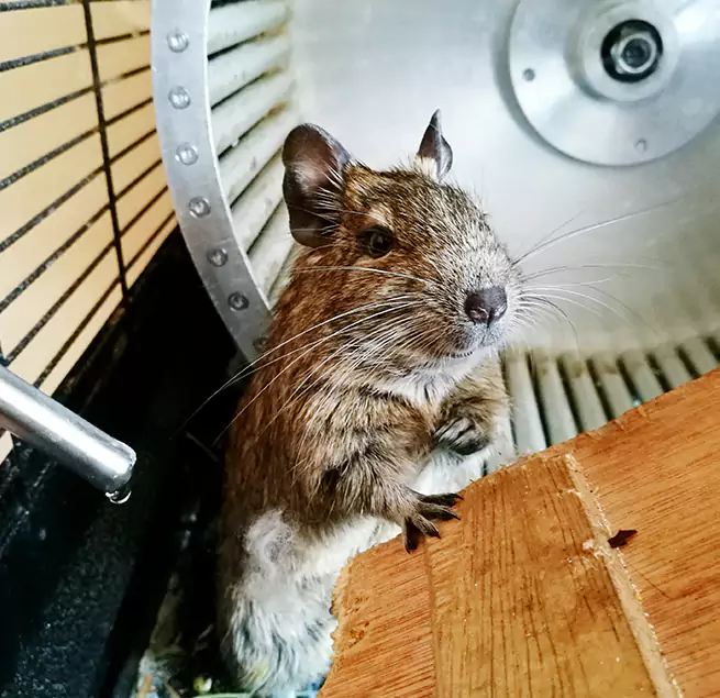 Why Homeowners & Businesses Trust Us Munster, IN?