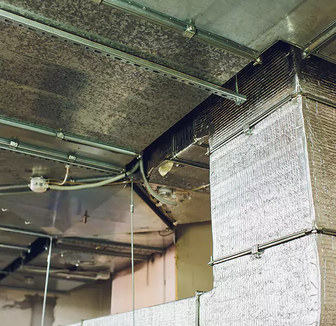 Why Homeowners & Businesses Trust Us in Munster, IN?